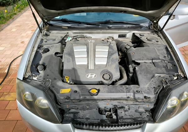 Hyundai Coupe cena 6000 przebieg: 316461, rok produkcji 2004 z Bydgoszcz małe 326